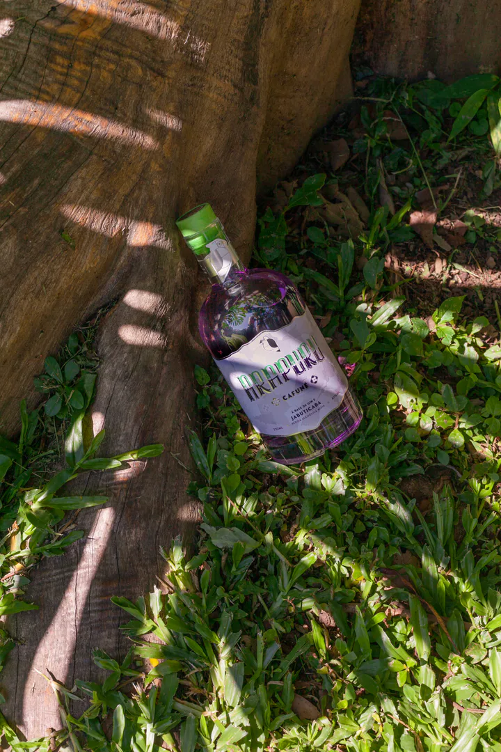Historias de Chico cocktail